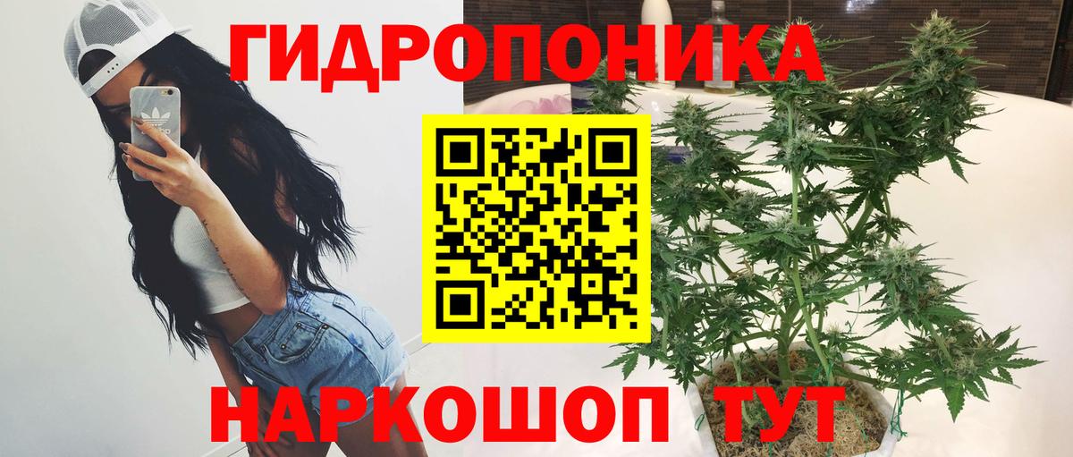 Канабис OG Kush Сертолово